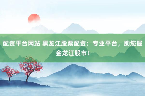 配资平台网站 黑龙江股票配资：专业平台，助您掘金龙江股市！