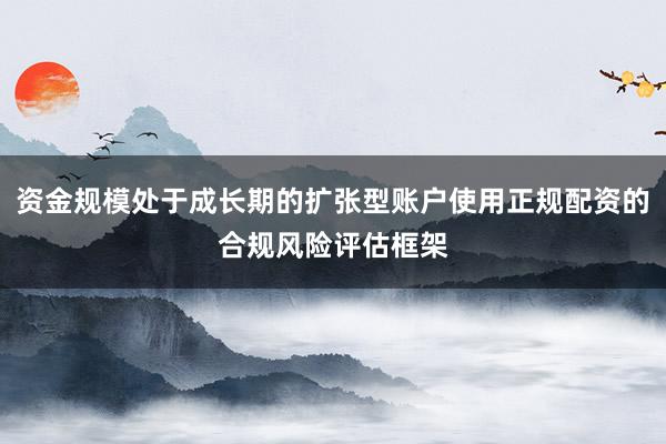 资金规模处于成长期的扩张型账户使用正规配资的合规风险评估框架