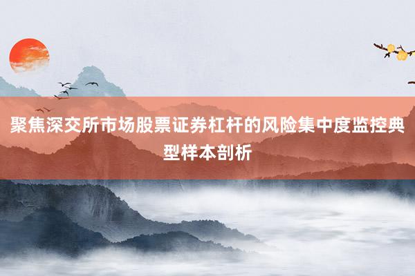 聚焦深交所市场股票证券杠杆的风险集中度监控典型样本剖析