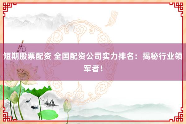 短期股票配资 全国配资公司实力排名：揭秘行业领军者！